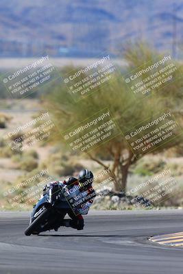 media/Apr-14-2024-SoCal Trackdays (Sun) [[70f97d3d4f]]/1-Turn 5 Tree of Life (920am)/